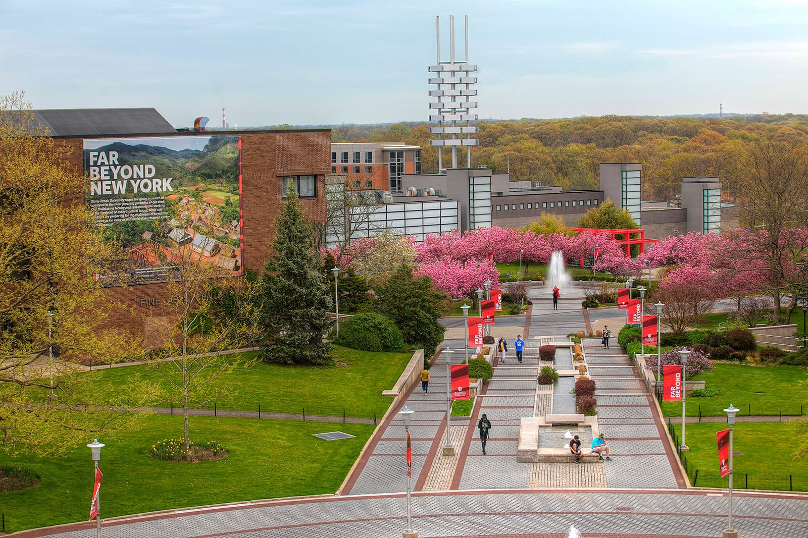 Stony Brook University