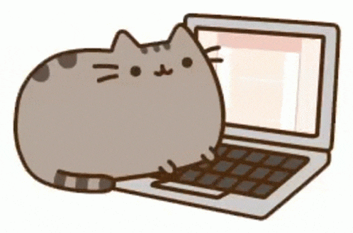 A cute cat coding
